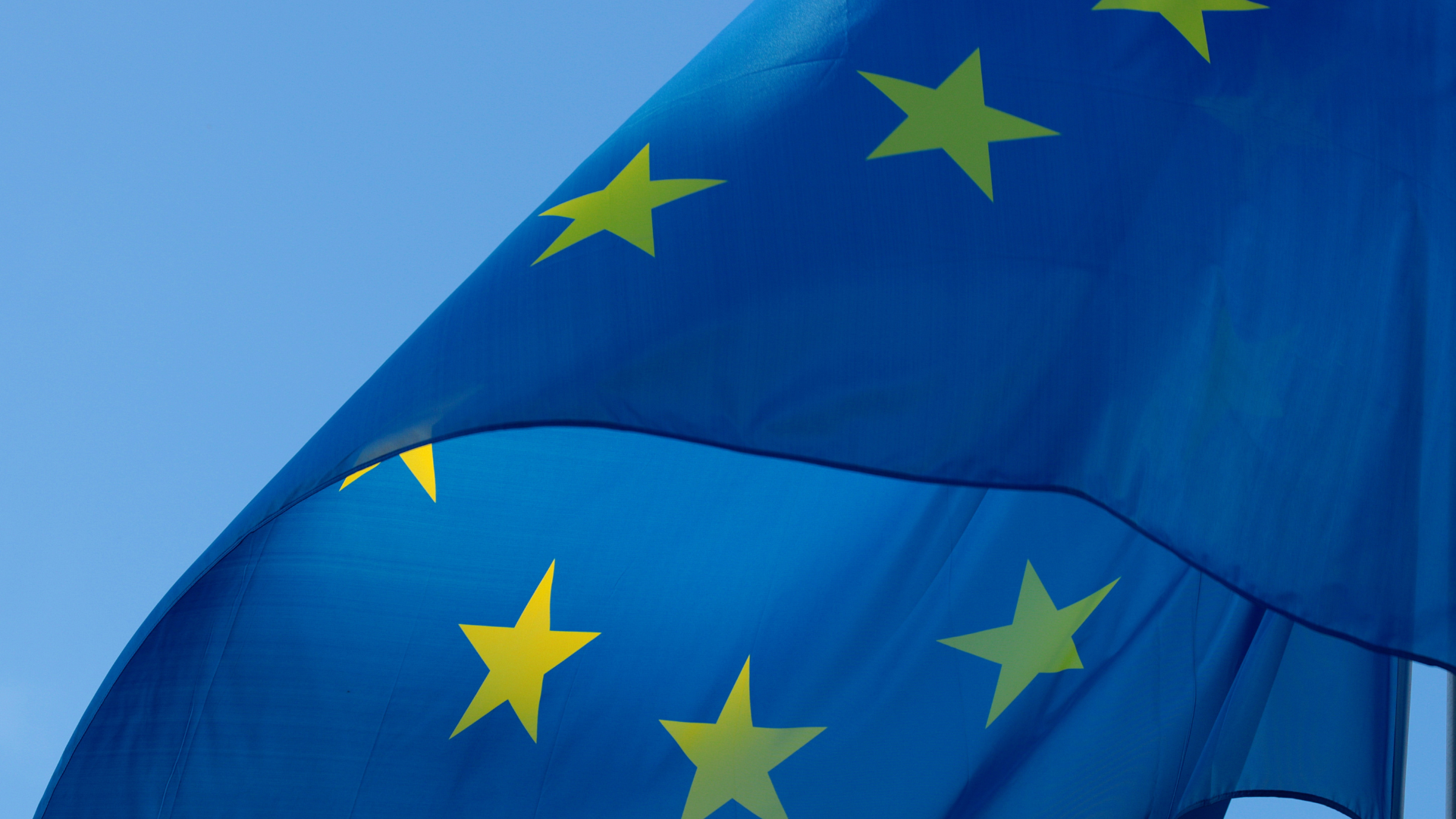 JOINT STATEMENT EU Citizens express strong opposition to the deployment of EMS on European roads